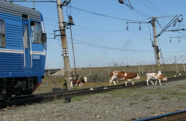 pamyatka 08 2020